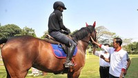Jokowi juga sempat berbincang dengan para atlet soal persiapan bertanding di ajang Asian Games. (Foto: dok. Biro Pers Setpres)