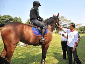 Foto: Jokowi Semangati Atlet Berkuda Asian Games
