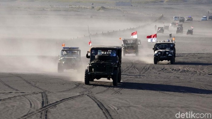 Pengguna Jeep Willys Arungi Gunung Bromo Sebanyak 100 unit Jeep Willys memacu adrenalin dengan melintasi jalur tanjakan Bromo yang dikenal curam.