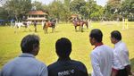 Foto: Jokowi Semangati Atlet Berkuda Asian Games
