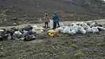 Foto: Sampah di Puncak Tertinggi Indonesia