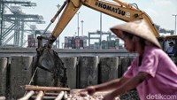 Nelayan menjemur ikan di delt lokasi pembangunan tanggul Jakarta.