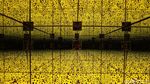 Instagramable Banget! Karya-karya Yayoi Kusama di Museum MACAN