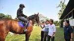Foto: Jokowi Semangati Atlet Berkuda Asian Games