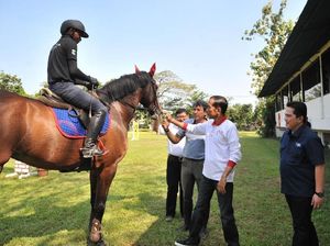 Jokowi Harap Peralatan Olahraga Bisa Diproduksi di Dalam Negeri