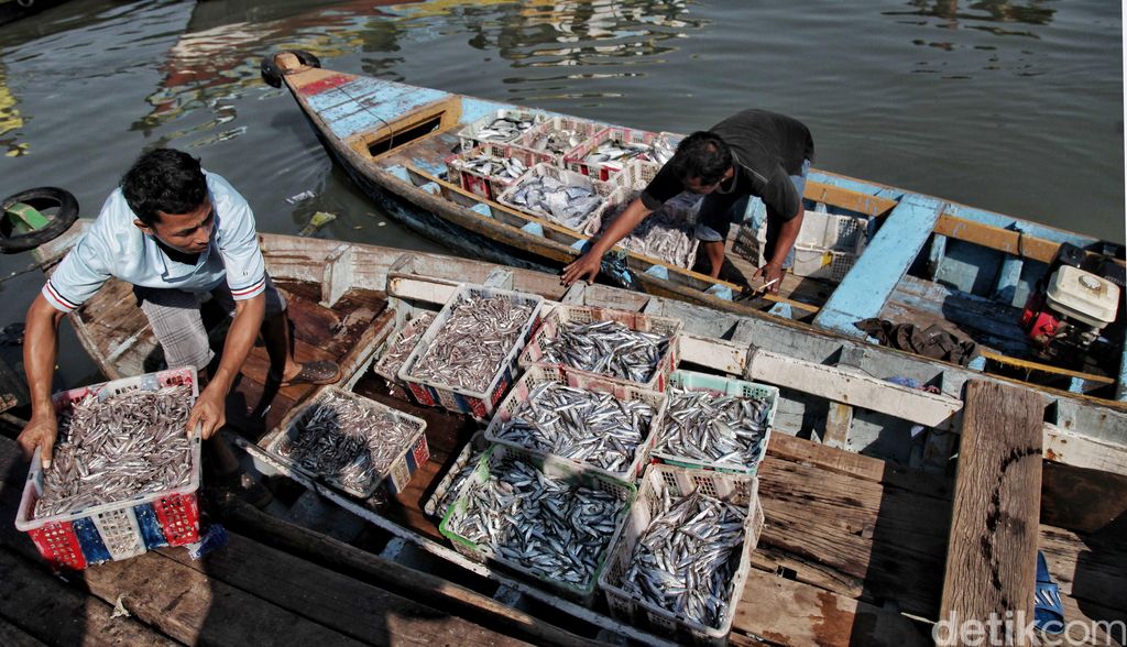 Sebentar lagi Jakarta akan memiliki pasar ikan seperti di Jepang. Rencana revitalisasi TPI Kalibaru Cilincing akan memberikan suasana baru bagi daerah tersebut.