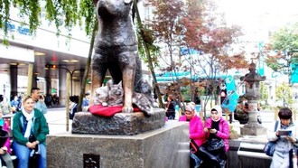 Turis Serobot Antrean Foto di Patung Hachiko, Warganet Geram