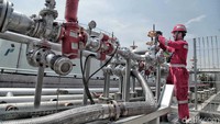 Terkait dengan ketersediaan BBM jenis premium, PT Pertamina (Persero) tengah memetakan kembali kebutuhan BBM jenis Premium di wilayah pulau Jawa, Madura, Bali (Jamali) menyusul adanya evaluasi dari Kementerian Energi dan Sumber Daya Mineral (ESDM) mengenai kelangkaan Premium di wilayah Jamali.