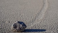 Pergerakan batu ini tidak hanya lurus, tapi juga berbelok ke kanan, kiri, atau bahkan berbalik arah (californiamountainkingsnake/Instagram)