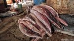 Melihat Pemotongan dan Penjemuran Ikan Hiu