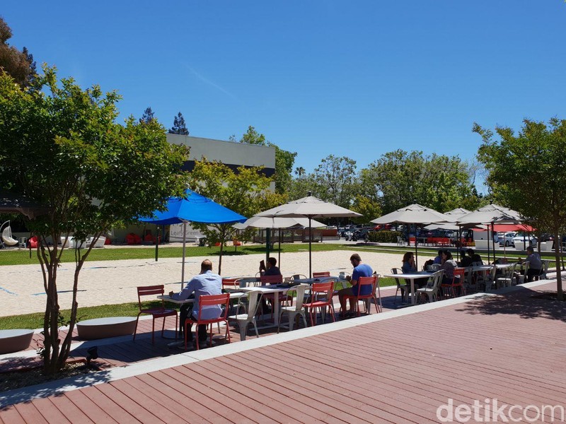 Mencicipi Makan Siang Gratisan di Markas Besar Google