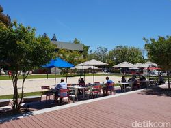 Potret Kantor Google yang Keren Banget Tapi Arsiteknya Menyesal