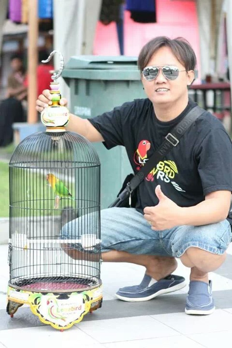 Kisah Lovebird: Burung Primadona yang Sampai Jadi Maskawin Kisah Lovebird: Burung Primadona yang Sampai Jadi Maskawin