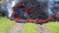 Otoritas darurat telah memperingatkan warga untuk pergi sekarang karena aliran lava dan gas dari Gunung Kilauea di Hawaii yang meletus meluas. Sebab ada celah baru yang terbuka dan mengakibatkan lebih banyak bangunan hancur.