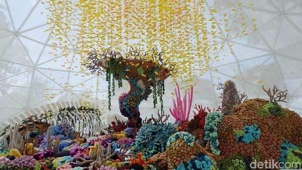 Menelusuri Dunia Bawah Laut ala Mulyana The Mogus
