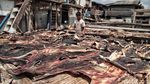 Melihat Pemotongan dan Penjemuran Ikan Hiu