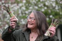 Wanita Ini Ramal Masa Depan Pakai Asparagus, Apa Prediksinya di Tahun 2018?