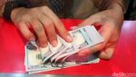 Situasi di Money Changer Saat Dolar AS Tembus Rp 14.000