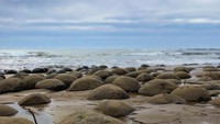 Pemandangan pantai yang fotogenik (_sin07_/Instagram)