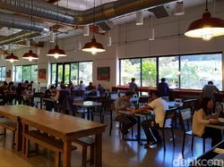 Mencicipi Makan Gratis di Markas Besar Google