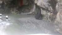 Saat baru melintasi jalanan ini pada musim panas pasti Otolovers akan melihat kecantikan dari sebuah pegunungan yang indah yang di kelilingi oleh air terjun. Foto: Pool (Youtube)