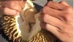Fauzi Baadilla Doyan Banget Makan Durian, Ini Buktinya!