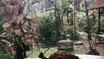Fauzi Baadilla Doyan Banget Makan Durian, Ini Buktinya!