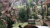 Wah durian lagi nih. Makan durian di halaman belakang rumah yang masih lapang dan asri. Enak banget ya! Foto: instagram @fauzibaadilla2018