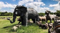 Ini adalah pemandangan tidak biasa yang berada di sebuah pabrik yang memproduksi benda-bendar raksasa di Sparta, Amerika. (Liesl Ayers-Southwell/ Facebook)