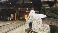 Kuil Yasui Kompira-gu Shrine seringkali disebut batu enkiri (pemisah) atau enmusubi (pernikahan). Kuil batu ini memiliki tinggi 1,5 meter dan lebar 3 meter. (fumichan0404/Instagram)