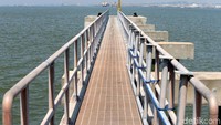 Proyek ini dibangun di lahan seluas 3 ribu hektar, terdiri dari kawasan industri, pelabuhan serbaguna, dan perumahan serta fasilitas pendukung lainnya seperti , pusat logistik berikat, utilitas yang dikelola secara mandiri (pembangkit listrik, pengelolaan air, pengelolaan air limbah), tempat rekreasi, kota komersial.