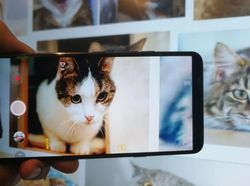 LG G7+ ThinQ Mendarat di Indonesia
