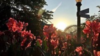 Namun tidak hanya mencoba wahana permainan dan melihat proses pengolahan coklat, traveler juga bisa melihat 275 varian bunga di Hershey Gardens (hersheypark/Instagram)