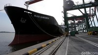 Pelabuhan ini bisa melayani kapal-kapal besar berbobot 5 juta TEUs. Tak hanya itu, yang membedakan Teluk Lamong dengan pelabuhan-pelabuhan lainnya adalah sistem kerja.
