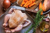 Ini Beda Ayam Kampung, Ayam Jantan dan Ayam Negeri