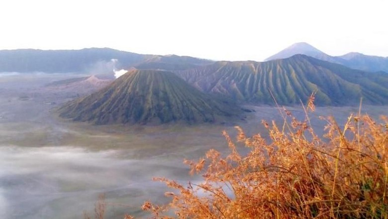 Gunung Bromo, salah satu daya tarik Pulau Jawa (Bekti Yusti/dTraveler) Gunung Bromo, salah satu daya tarik Pulau Jawa (Bekti Yusti/dTraveler)