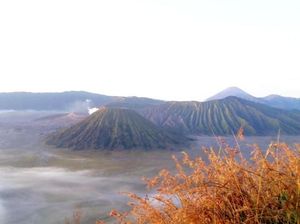 Luar Biasa! 3 Pulau Terbaik Dunia dari Indonesia Semua