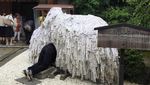 Foto: Kuil Batu yang Bikin Putus atau Jadian