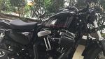 Istana Sule yang Konon Senilai Rp 15 M & Sederet Kuda Mewahnya
