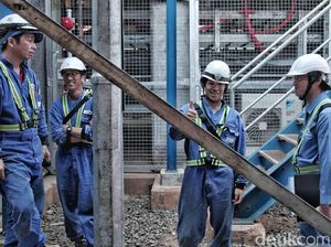 Heboh Punya e-KTP, Berapa Sih Jumlah TKA China di Indonesia?