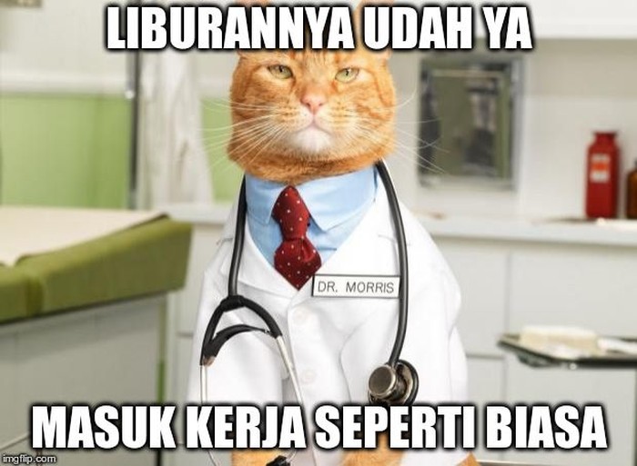 7 Meme Kocak Pura Pura Sakit Jelang Harpitnas