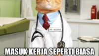 Seperti meme yang satu ini. Liburannya udah ya, masuk kerja seperti biasa. Foto: Internet 