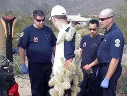 Deretan Foto yang Bikin Terheran-heran