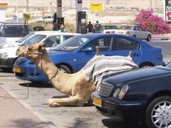 Deretan Foto yang Bikin Terheran-heran