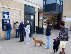 Deretan Foto yang Bikin Terheran-heran