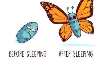 Sama kayak kupu-kupu, manusia juga kalau habis tidur langsung segar. Foto: Instagram @naolito