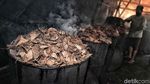 Yuk! Lihat Proses Pembuatan Arang Batok Kelapa