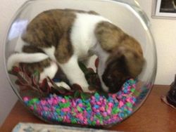 Deretan Foto yang Bikin Terheran-heran