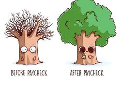 Meme Lucu Before-After di Kehidupan Sehari-hari