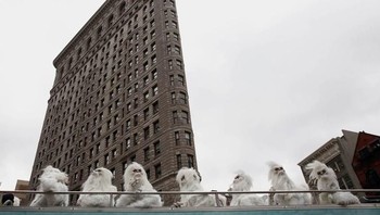 Hiii...ada monster Yeti di kota New York? Foto: Boredpanda